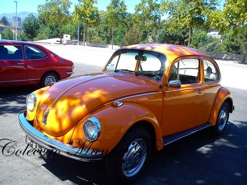 Encontros Além Corgo (27).jpg