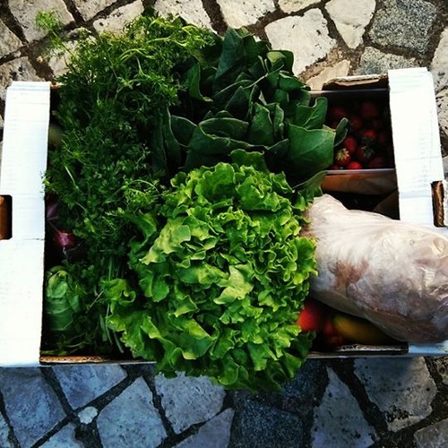 19394260_1451755371530527_4028277482212818944_n.jp