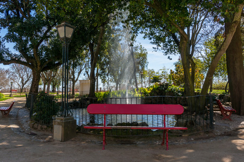 DSC00818.jpg DSC00818.jpg