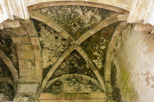 DSC01035.jpg DSC01035.jpg