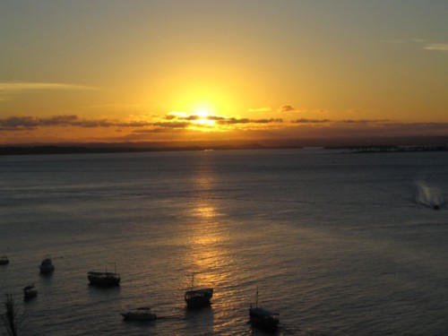 Tinharé Foto da minha filhota Sandra V Tinharé Foto da minha filhota Sandra V