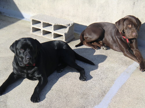 CIMG0314.JPG CIMG0314.JPG