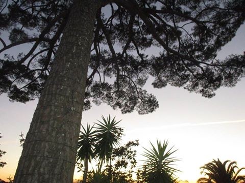 11223327_10206204292804873_6754778681397083209_n.j