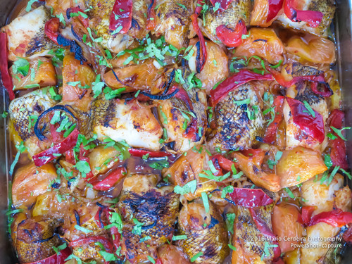 IMG_2609.jpg IMG_2609.jpg