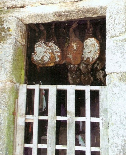 18 b2 - presuntos 1 ano.jpg