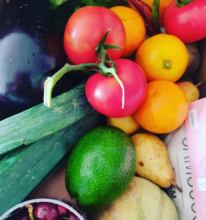 350289557_1449623859107568_2147964687673973978_n.j