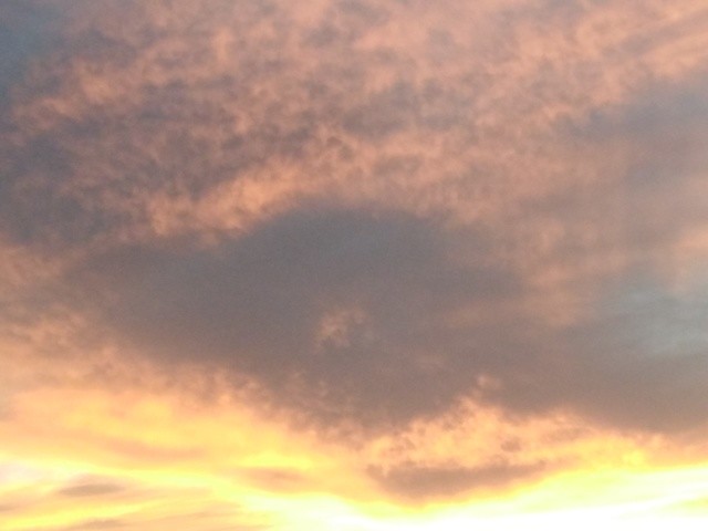 IMG_20201009_191343.jpg IMG_20201009_191343.jpg