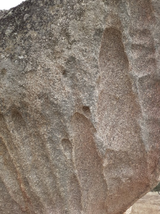 Impressões digitais. Foto Original. 2021.10.09.jpg