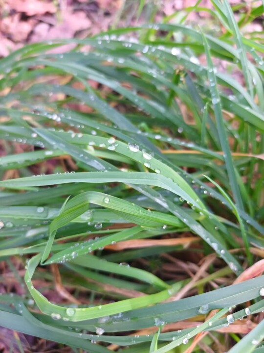 Não me canso disto Inverno 9.jpg