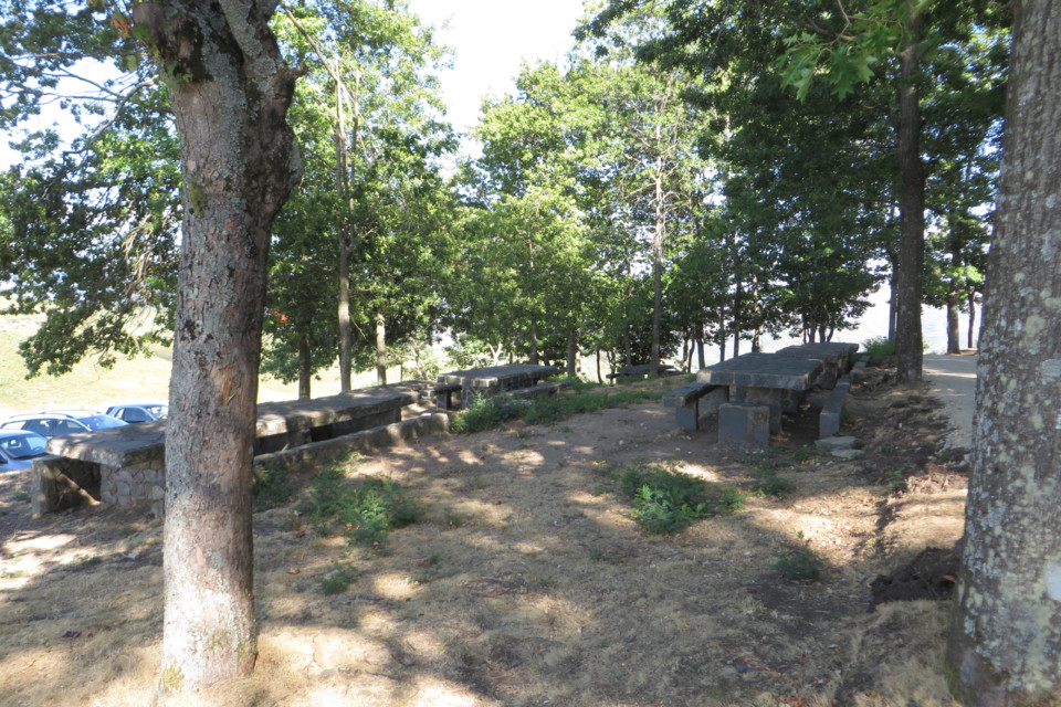 IMG_3590.JPG IMG_3590.JPG