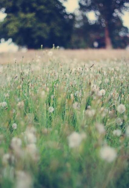 1424350_4951518405355_101301525_n.jpg 1424350_4951518405355_101301525_n.jpg