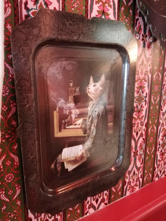 IMG_20200720_142421.jpg IMG_20200720_142421.jpg