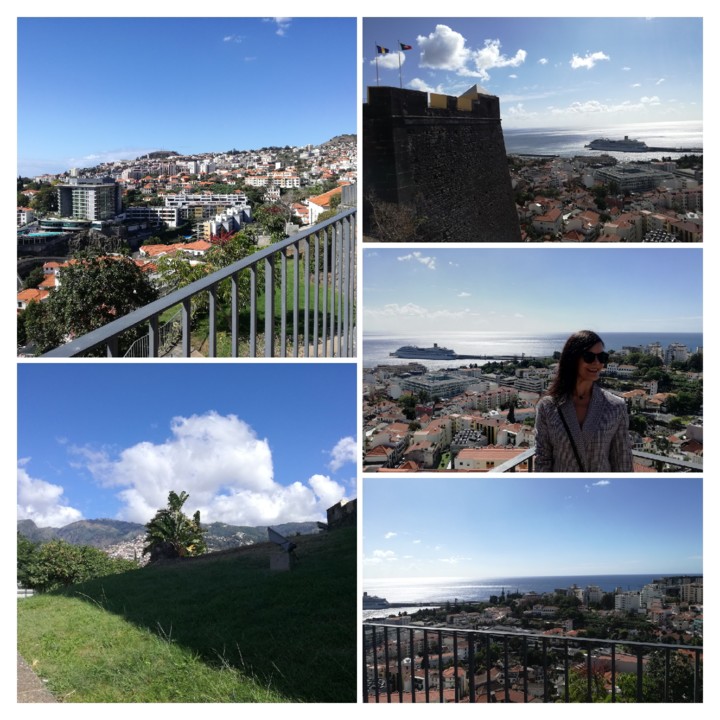 IMG_20191020_121928-COLLAGE.jpg IMG_20191020_121928-COLLAGE.jpg