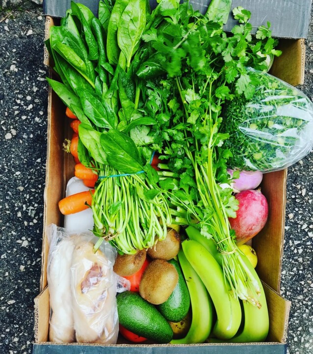 324437778_925401268830487_4491304035027572753_n.jp