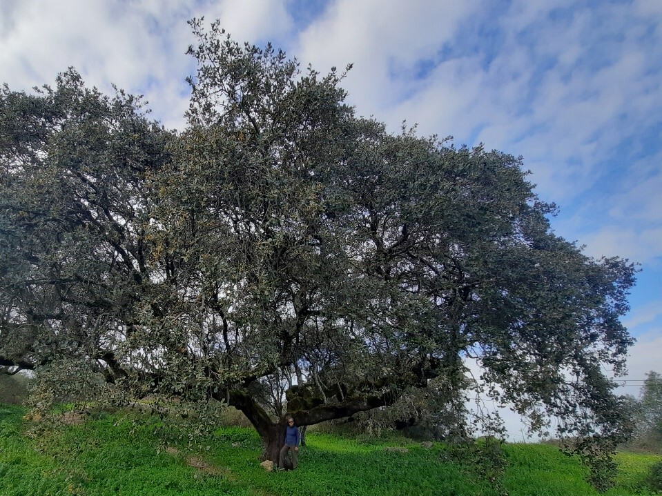 foto Domingas 10.jpg