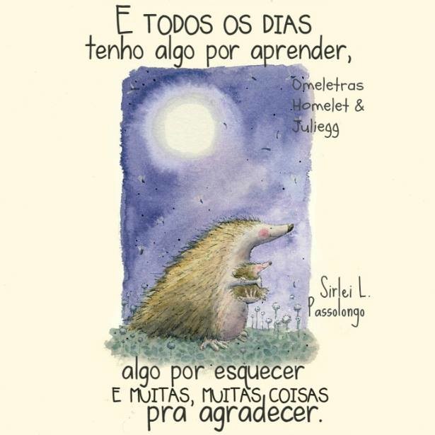e-todos-os-dias-tenho-algo-por-aprender.jpg