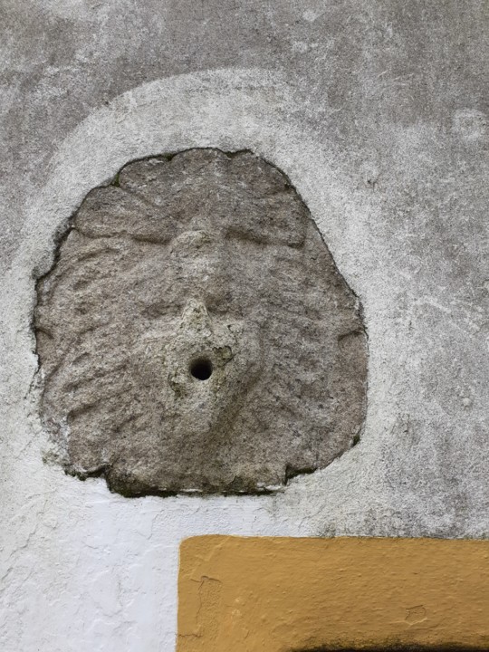 Carranca da Fonte. Foto Original. 2021.02.01. jpg