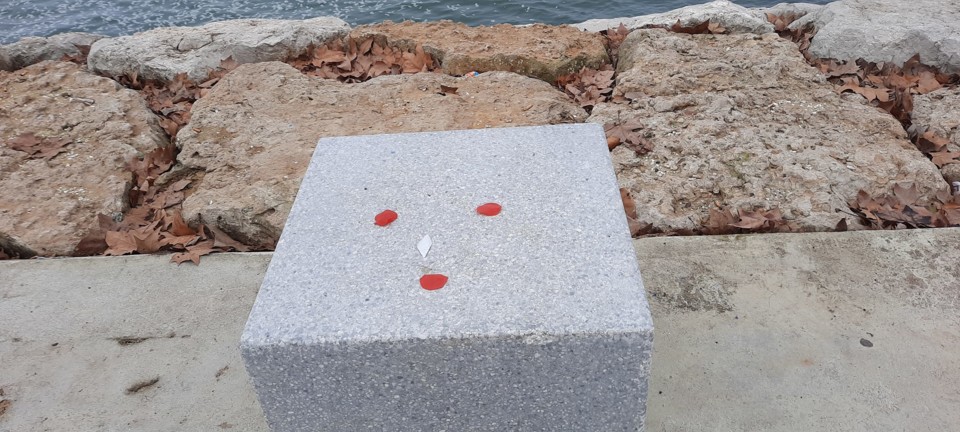 271243544_10223012277713991_3998587058193611787_n.