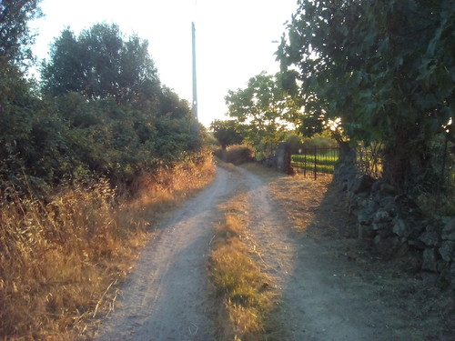 Fotografia original DAPL 20170630.jpg