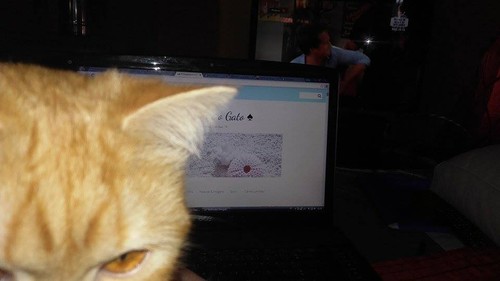 13101523_1296723893688854_780815974_n.jpg 13101523_1296723893688854_780815974_n.jpg