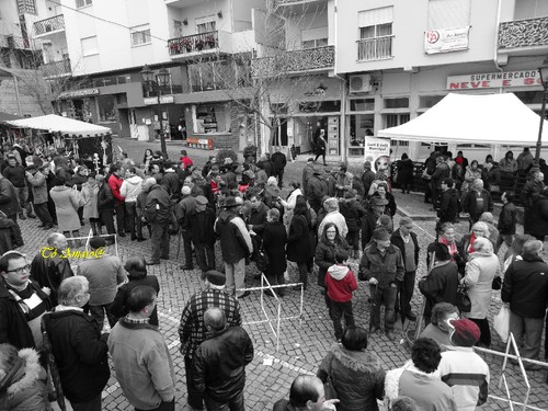 Feira do Queijo Em Seia !!! 230.jpg