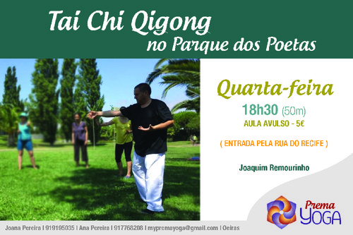 AULAS TAI CHI NO PARQUE RECIFE.jpg