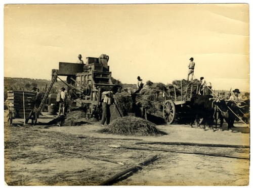 75 010.02520 [D].jpg