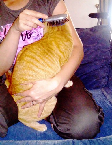 pentear.jpg pentear.jpg