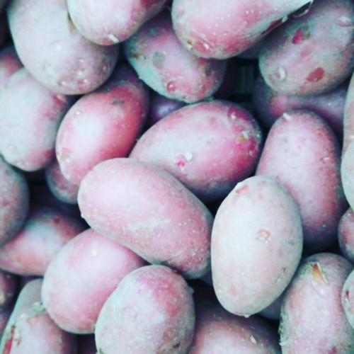 32948325_1097674763705617_3168237575705985024_n.jp 32948325_1097674763705617_3168237575705985024_n.jp