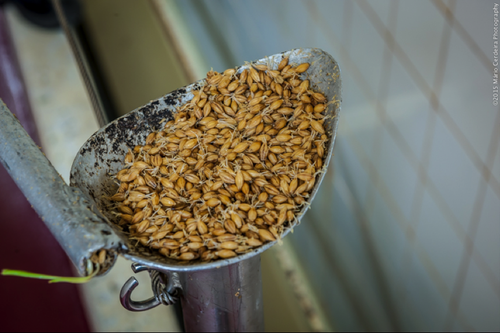 Untitled.png Untitled.png