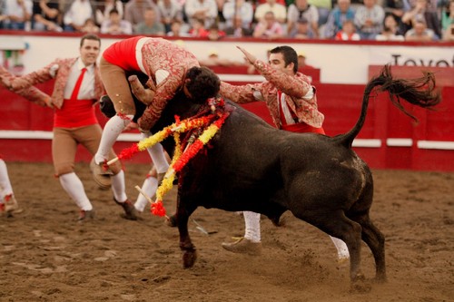 Valente pega de Carlos Vieira...