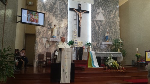 Pe Francisco de Medeiros, Missionário Comboniano