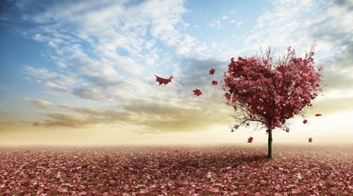 love-autumn-tree_759_thinkstockphotos-177812216.jp love-autumn-tree_759_thinkstockphotos-177812216.jp
