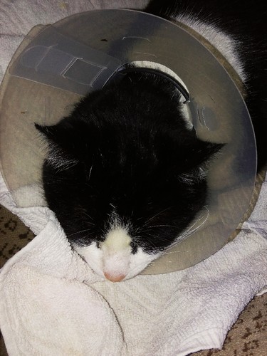 IMG_20160224_230255.jpg IMG_20160224_230255.jpg