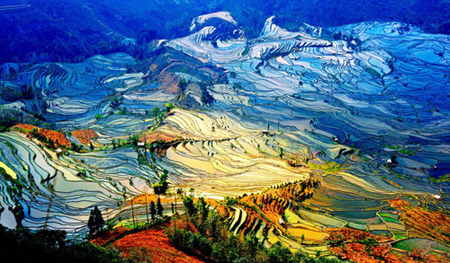 180902_China_1.jpg
