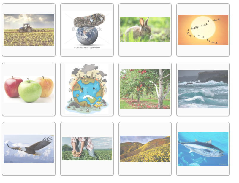 Screenshot at May 19 14-12-24.png