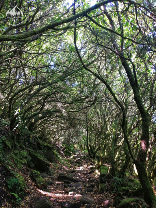 Photo_1598340851077.jpg Photo_1598340851077.jpg