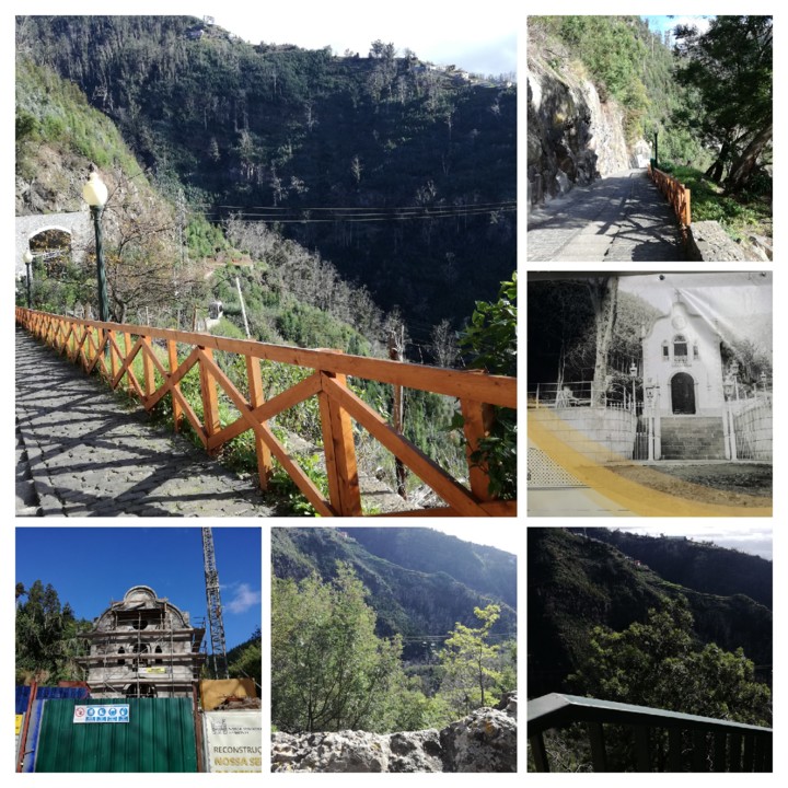 IMG_20200112_112402-COLLAGE.jpg IMG_20200112_112402-COLLAGE.jpg