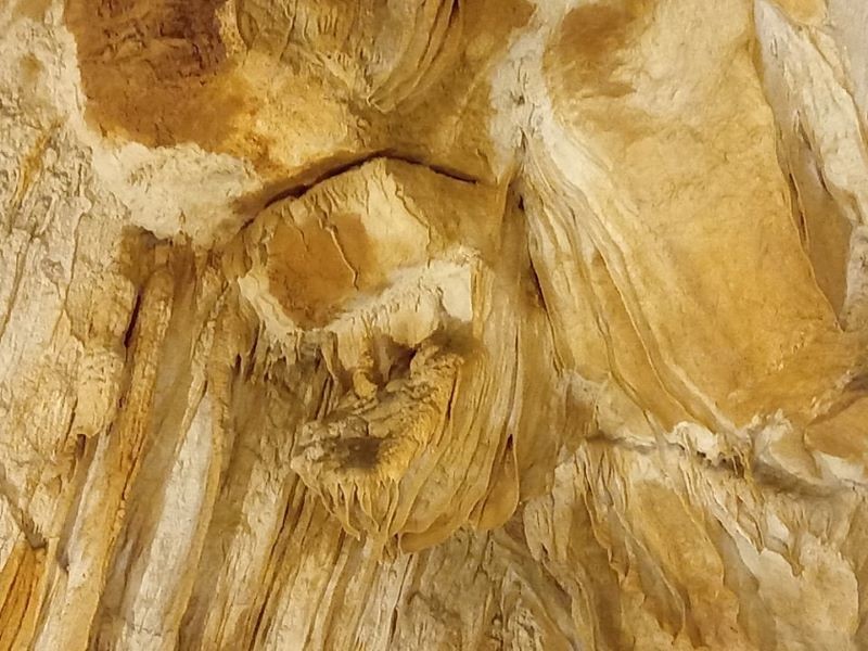 235690963_530956731466122_1712134157145704992_n.jp