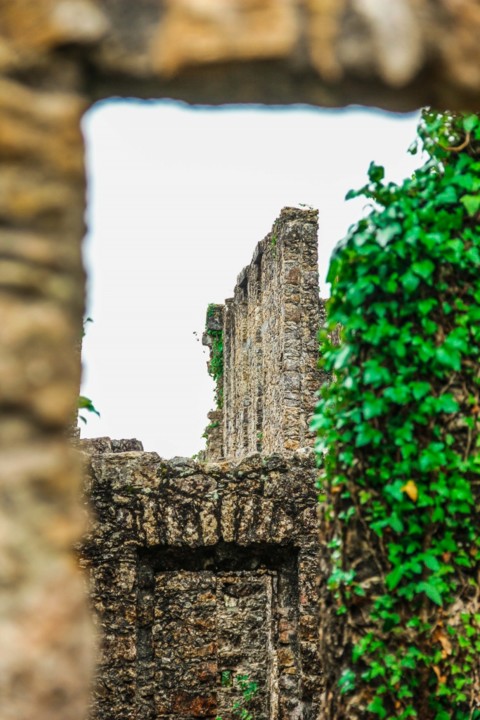 sanatorio albergaria 19.jpg