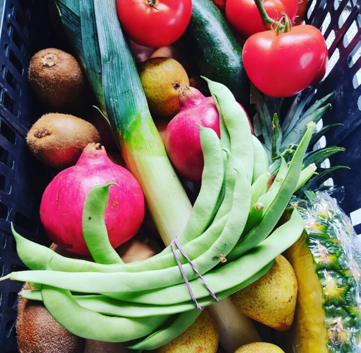 463651618_18440234323066958_8004054194617648999_n.