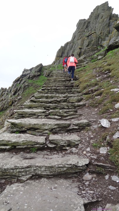 DSC06982.JPG DSC06982.JPG