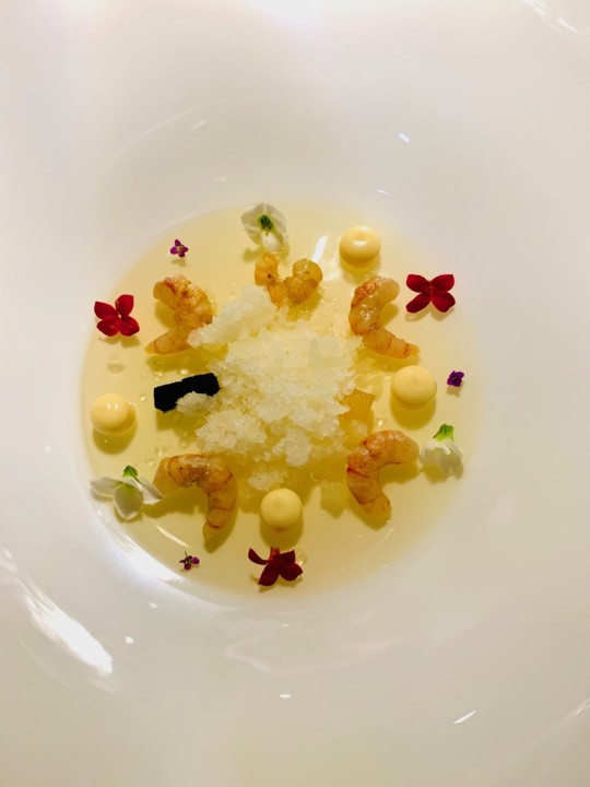 IMG_7744.jpg IMG_7744.jpg