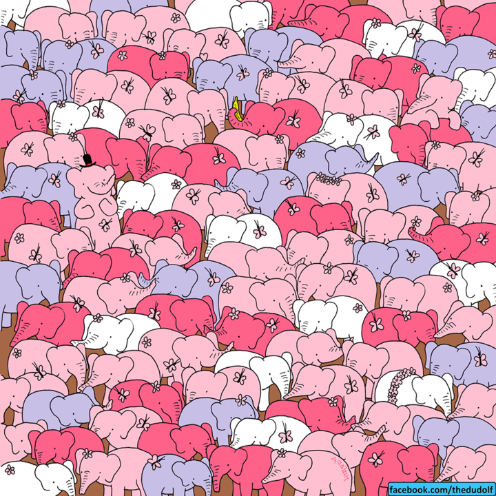 27983491_1297087073726535_5876284351846502208_o.pn 27983491_1297087073726535_5876284351846502208_o.pn