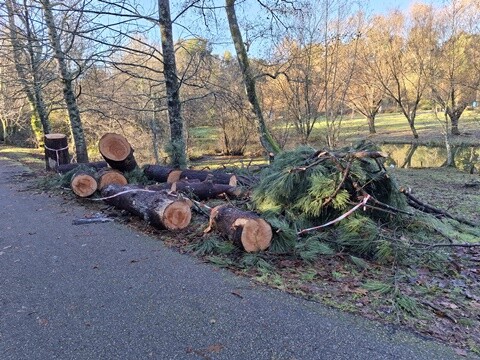 30a_Caminhada_a_Dois_PRU (5).jpg