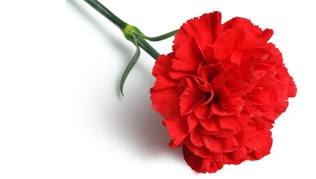 1-abril.jpg 1-abril.jpg