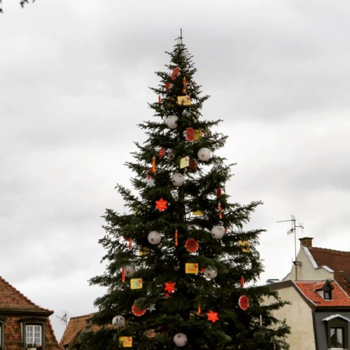 IMG_20181224_171952_254.jpg IMG_20181224_171952_254.jpg