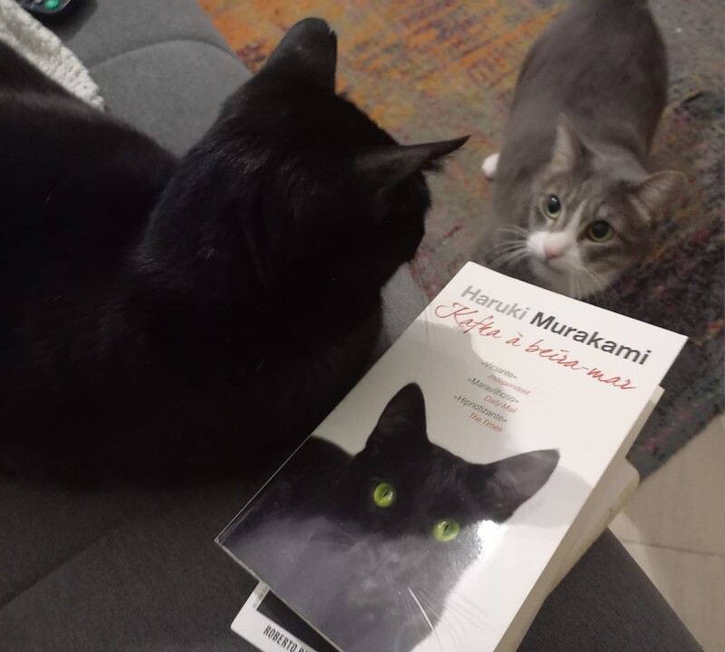 WhatsApp Image 2024-05-14 at 08.58.28_d51e829c.jpg