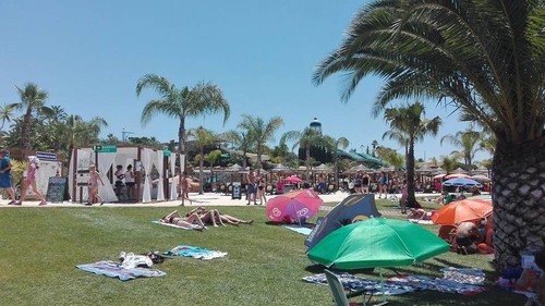 13510922_1010859065629324_3851324493860529451_n.jp