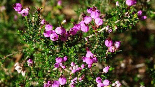 DSC08795.jpg DSC08795.jpg